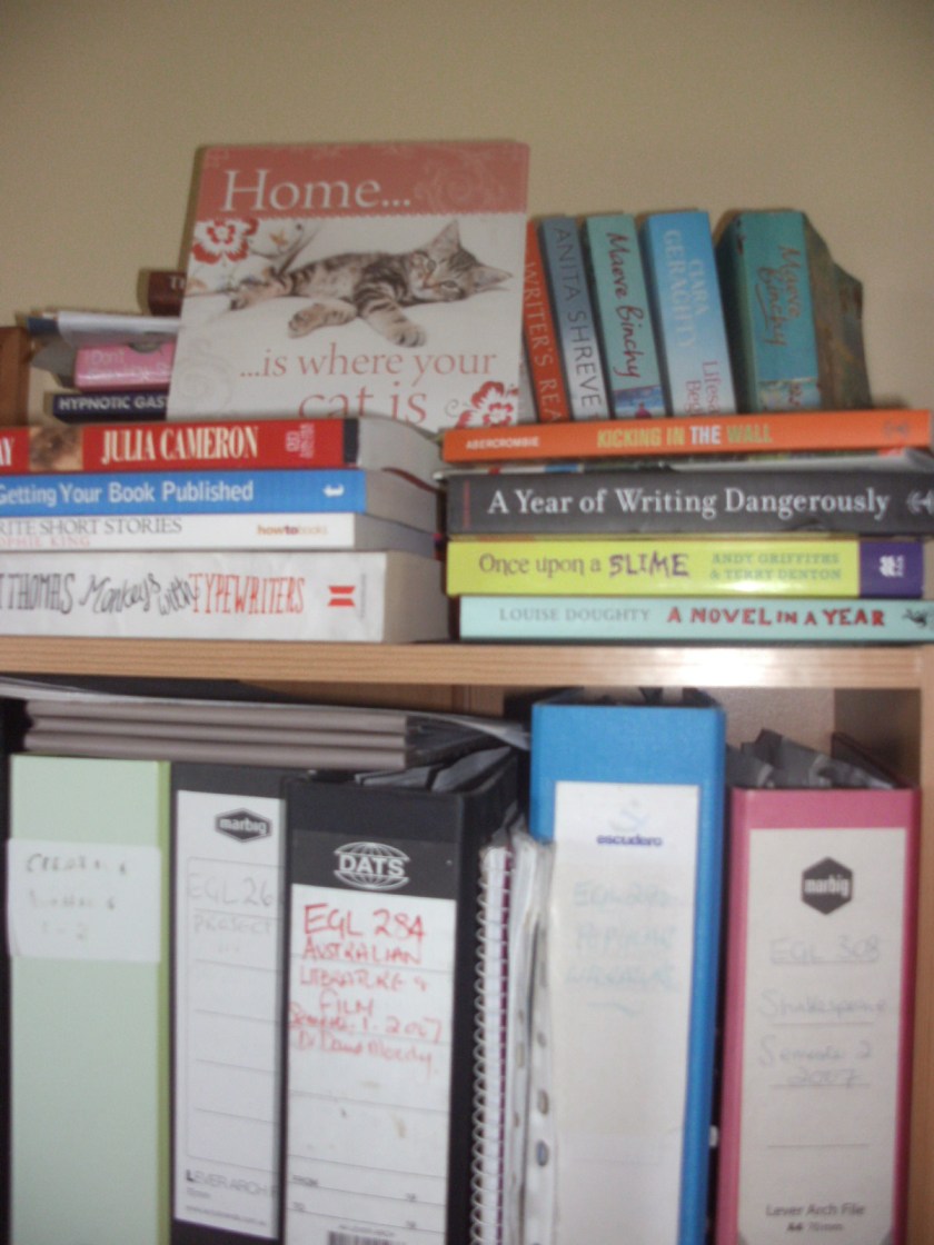 SANYO DIGITAL CAMERA