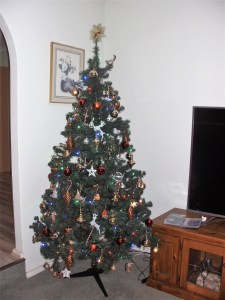 SANYO DIGITAL CAMERA