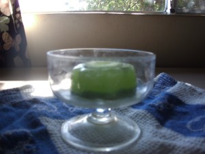 SANYO DIGITAL CAMERA