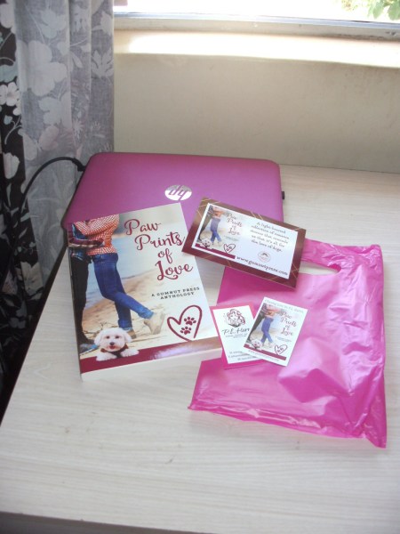 SANYO DIGITAL CAMERA